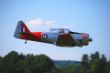 DSC_0273 bearb..jpg