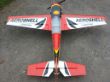 Pilot RC Extra 300